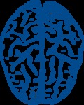 Brain hi