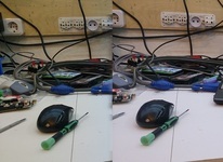 Mouse